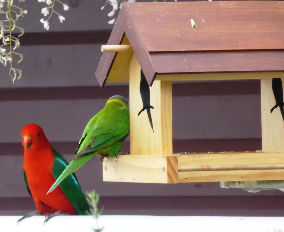 Bed & Breakfast Anduramba Homestead B&B Crows Nest