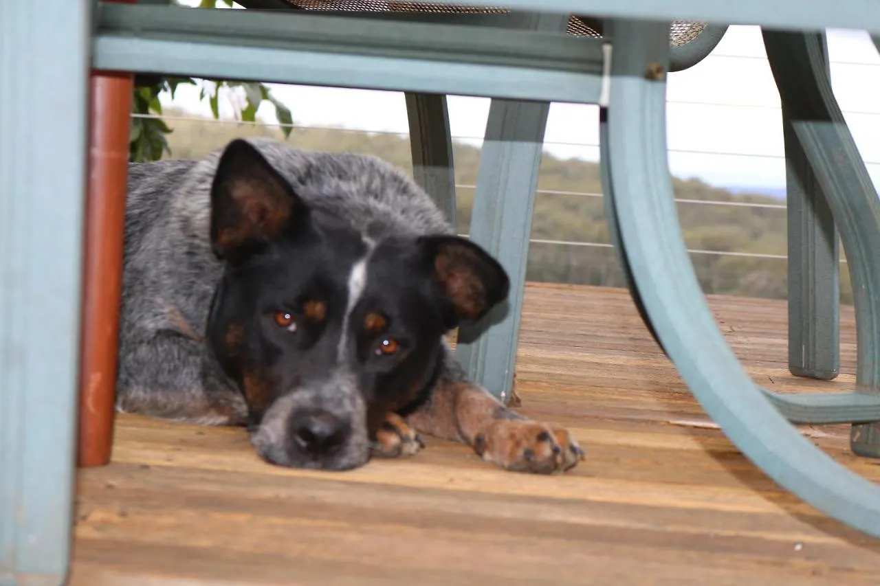 Anduramba Homestead B&B Crows Nest Bed & Breakfast