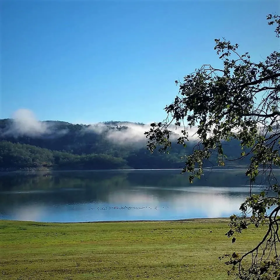 *** Bed & Breakfast Anduramba Homestead B&B Crows Nest Australia